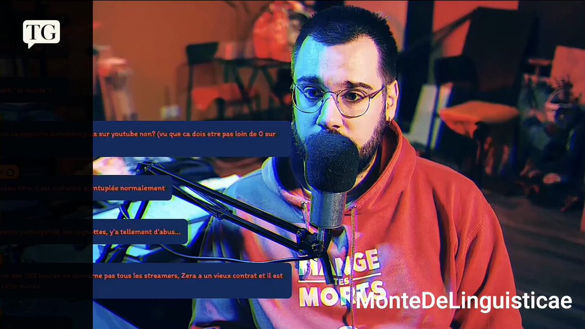 MonteDeLinguisticae 'même si c'est pour sauver les enfants de Gaza...' 