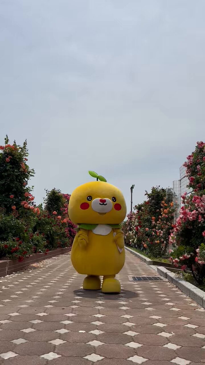 みきゃん様 みきゃん【公式】《愛媛県イメージアップキャラクター