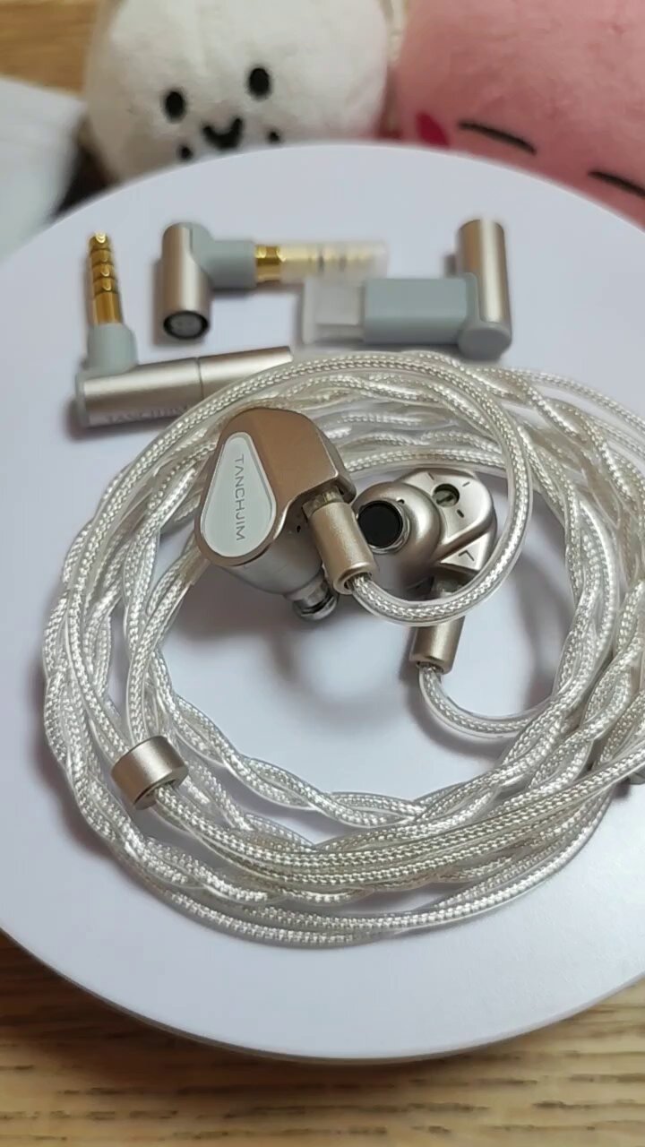 TANCHJIM FISSION 新品同様品 TANCHJIM FISSION レビュー：物理フィルター×交換ノズル×DSPで音