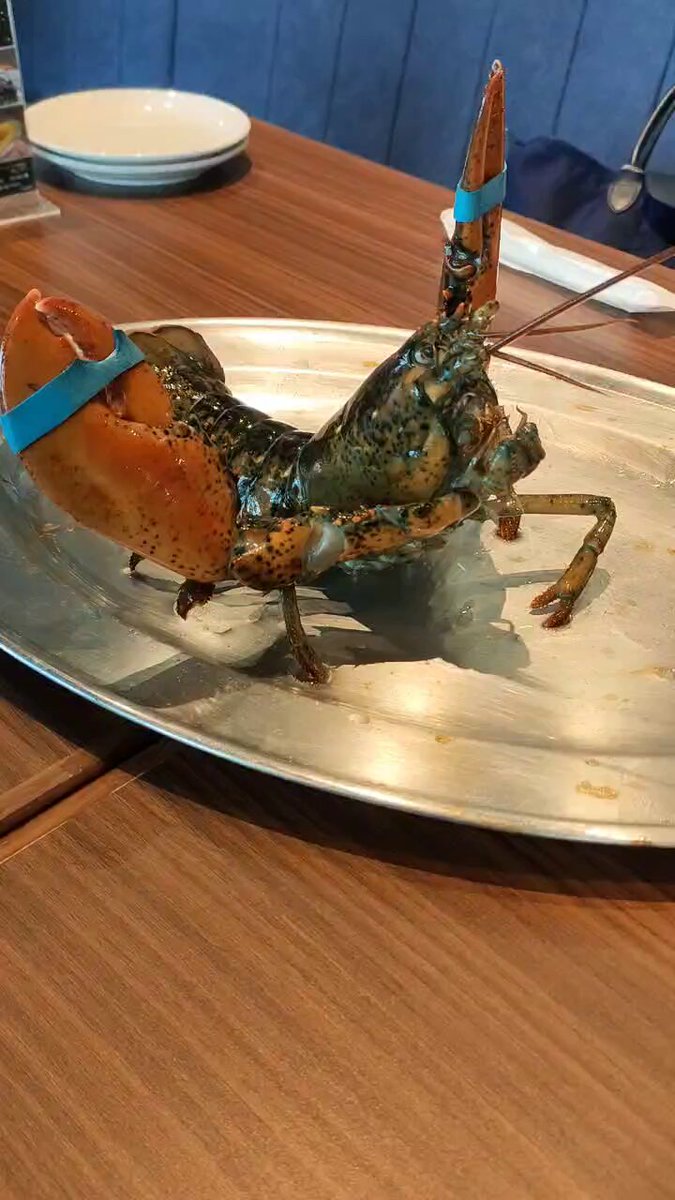 レッドロブスター - Search / X