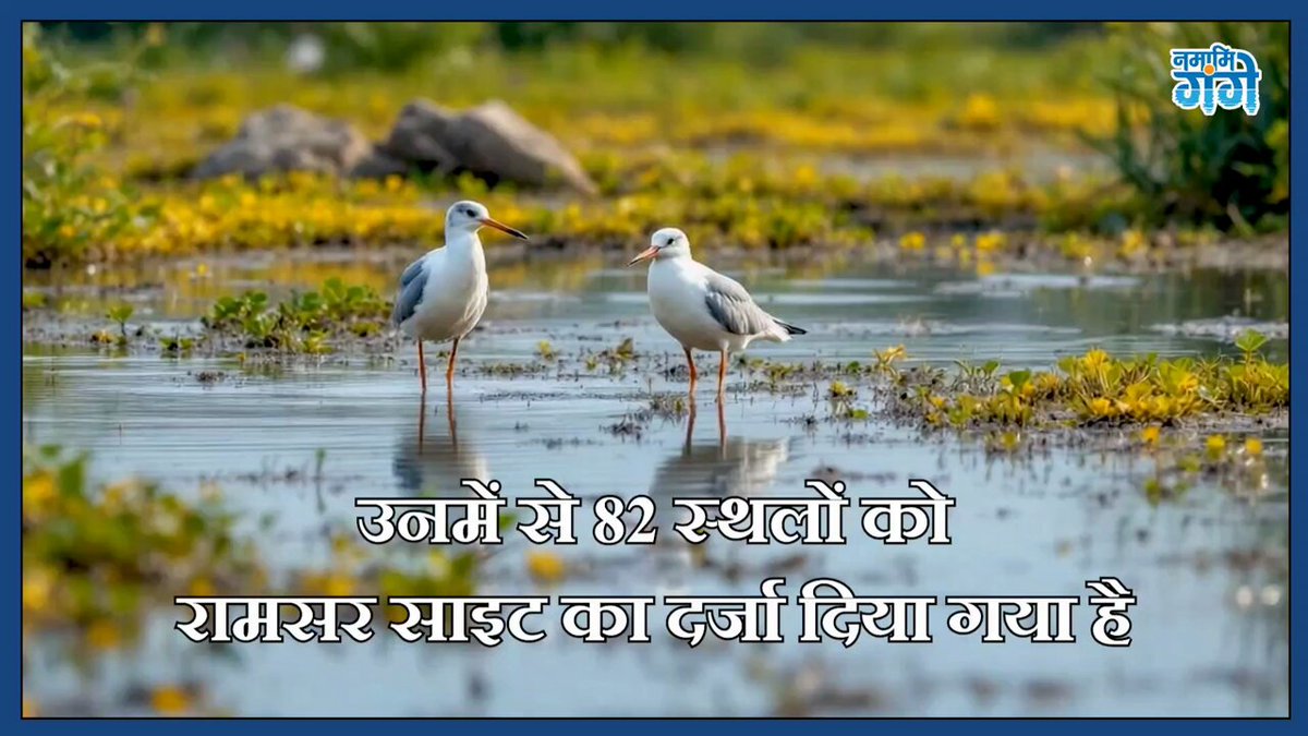 Tweet media three
