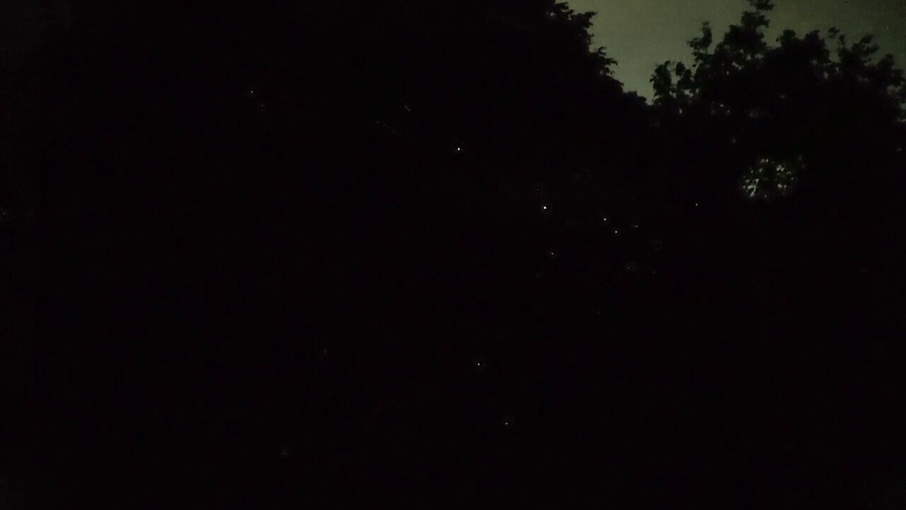 Venus  他の方はご遠慮下さい Touhou LostWord/Jazz] A Soul as Red as a Ground Cherry