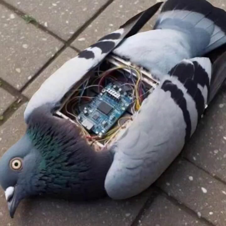 Tweet media