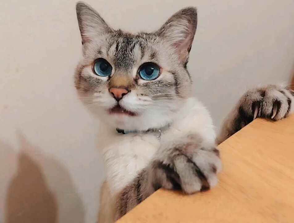 michiさま確認ページ♡ しじみ on X: 