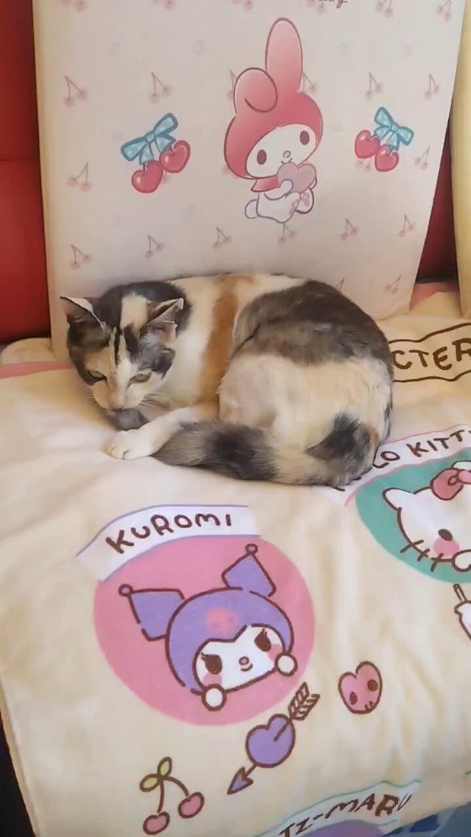 ミケねこ 720f5c0e81691cdacf31c9261ad89a