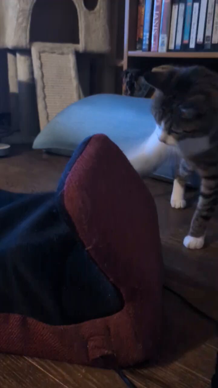 猫パンチ 猫クラフトパンチ(カールクラフトパンチ)アシアト | マスノヤ