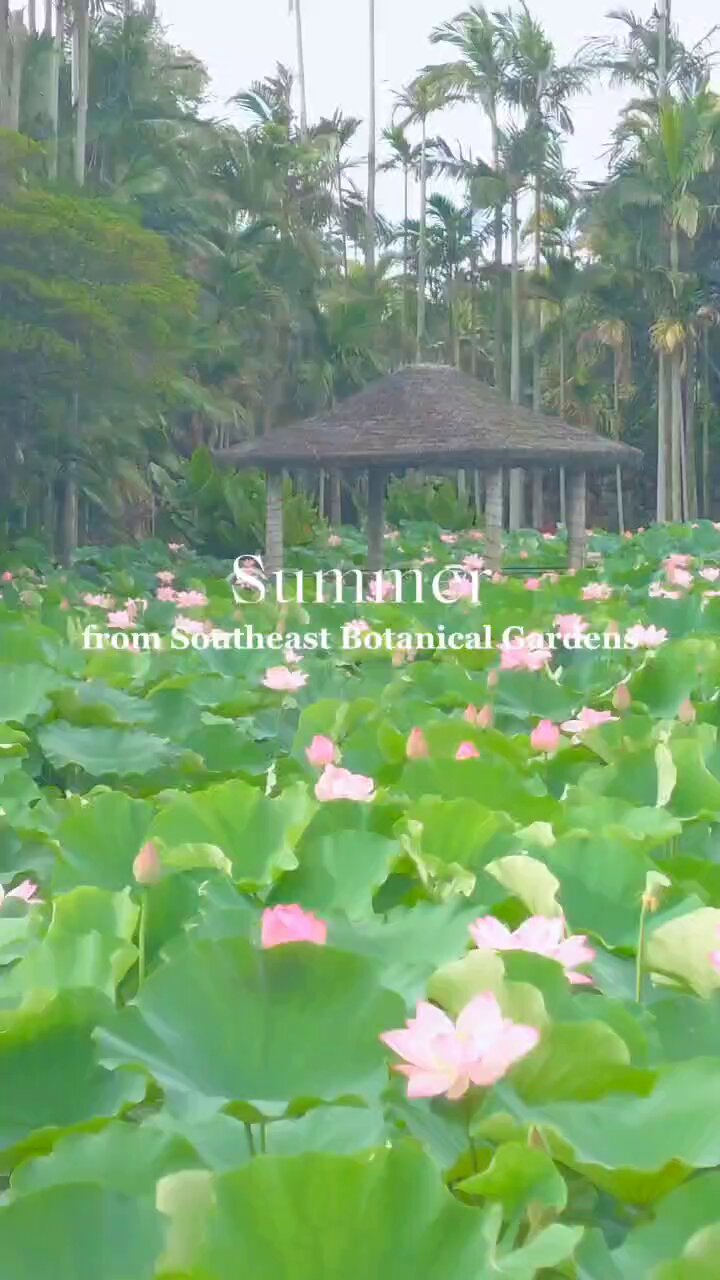 2025年最新】美らヤシパークオキナワ東南植物楽園の人気アイテム