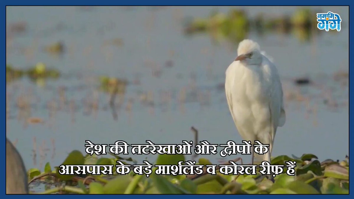 Tweet media three