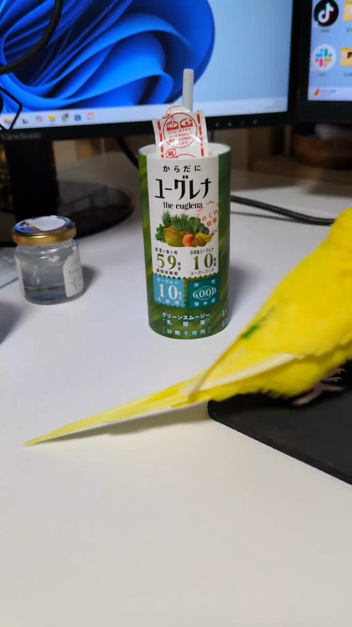 店舗良い おかかちゃん🐤💨 (@okakaricho) / X 絵画