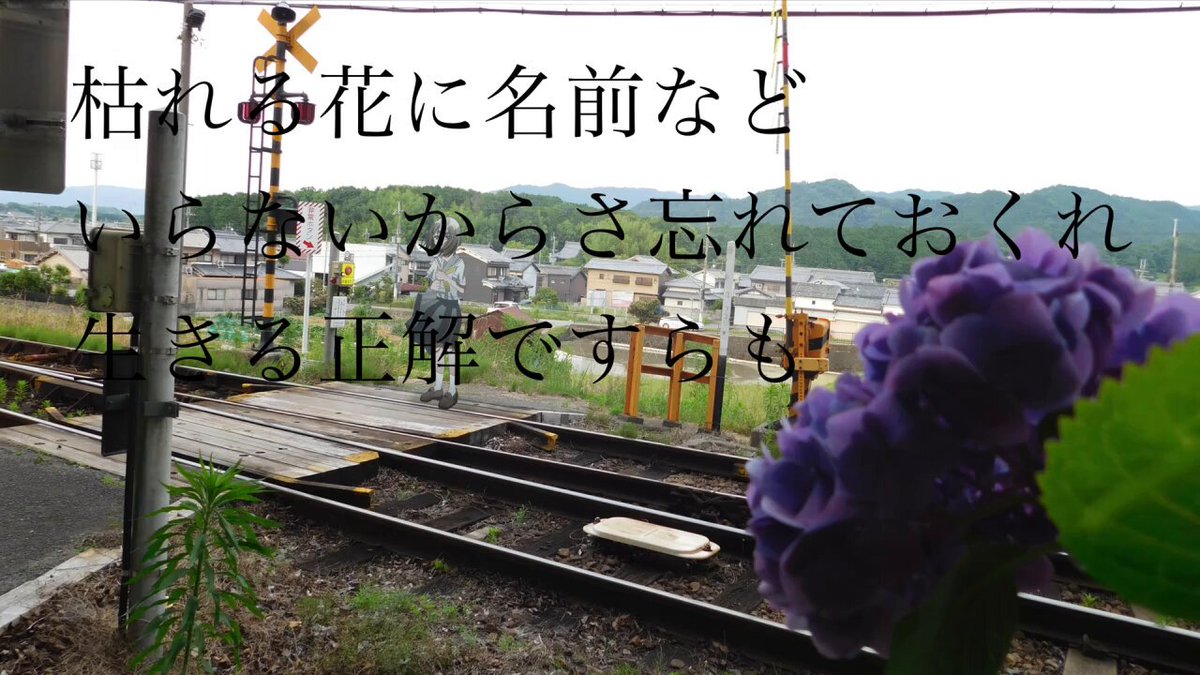 りゅうすけ⭐︎⭐︎⭐︎ 楽天市場】ゼクス Z/X B47-075 三蛇龍王 和修吉 (RR