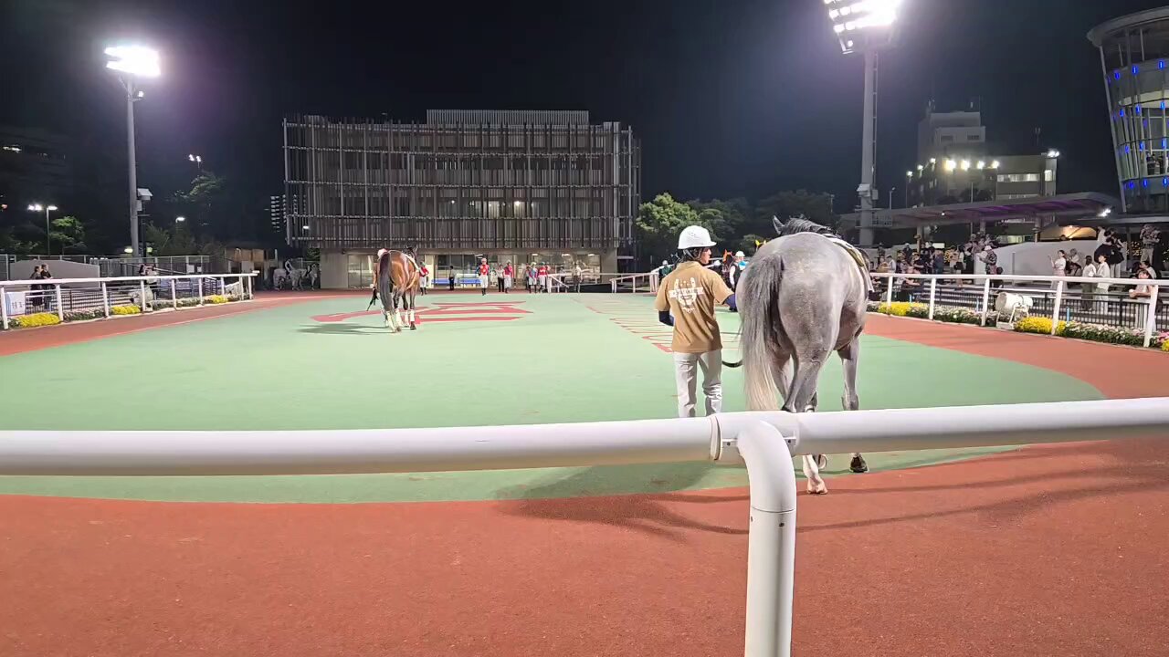 コンビ ホワイトレーベル ネムリラ AUTO SWING BEDi Long ｽﾘｰﾌﾟ