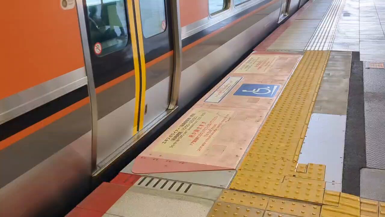 HAGiHARA 玄関台 玄関踏み台 高めの玄関 ワイド 踏み台 手すり
