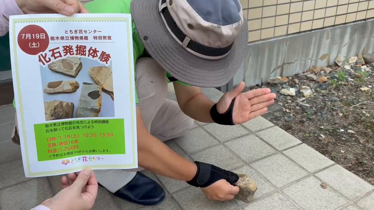 ⭐旧石器・化石⭐ GPw7I54bsAAfG6X.jpg