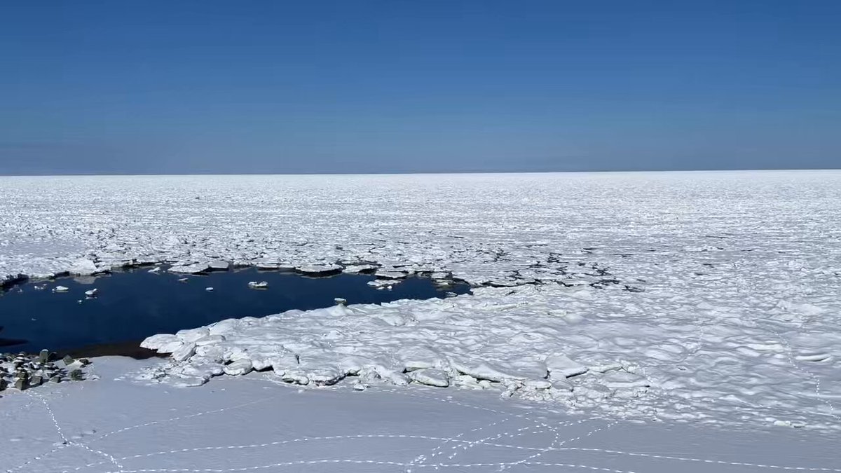 優佳良織テーブルセンター他３点に流氷大型を追加しました。 北海道 優佳良(ユーカラ)織 テーブルセンター - メルカリ