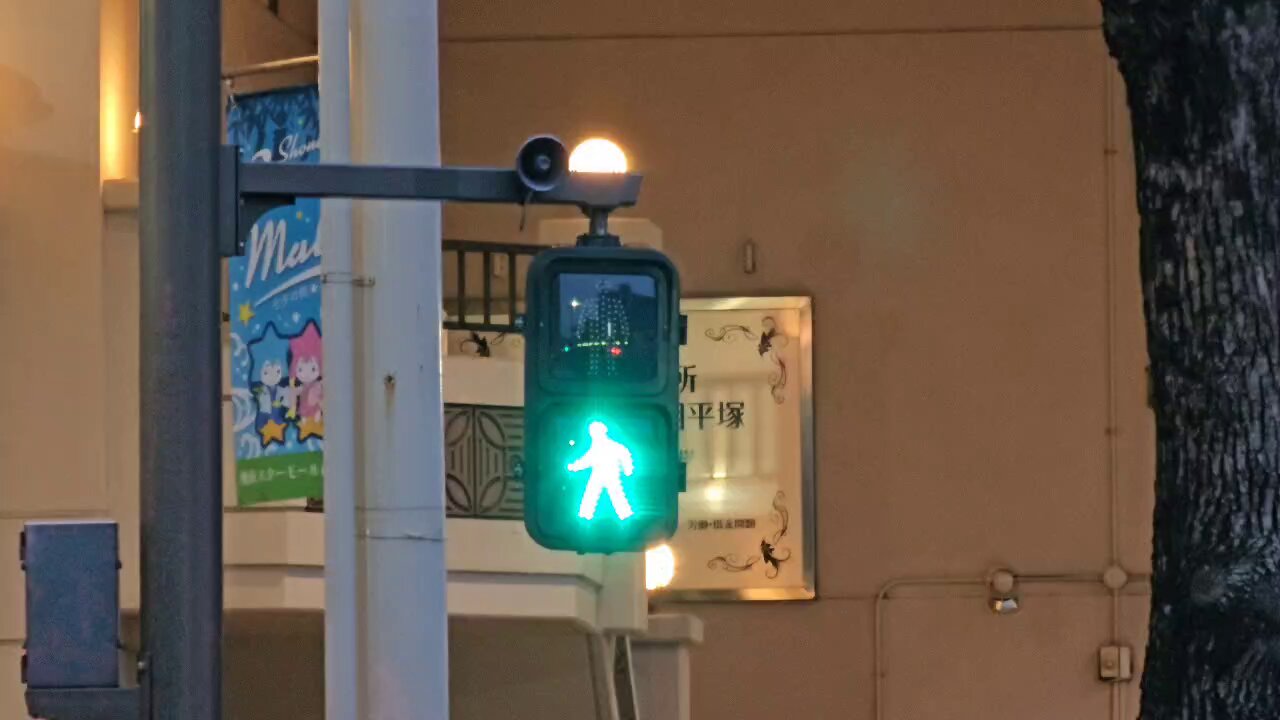 手渡し限定！信号機看板(時差式) 川崎市幸区幸町1丁目】謎動作する時差式信号 @幸町 - YouTube
