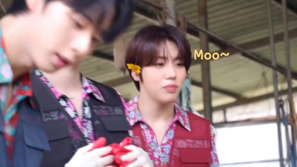 who is ᥕoo jᥙ៹ (@qkr143z) / X