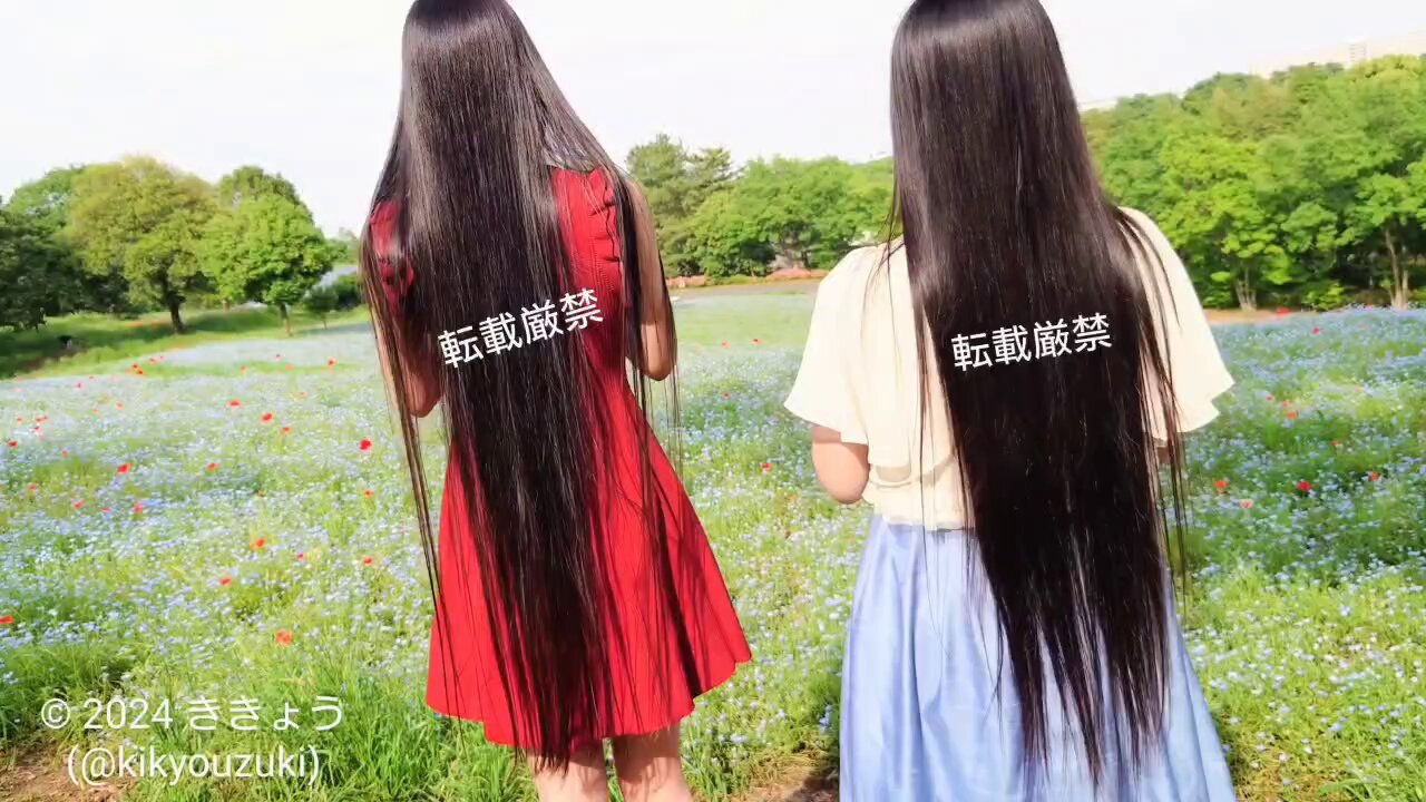 ききょう on X: 