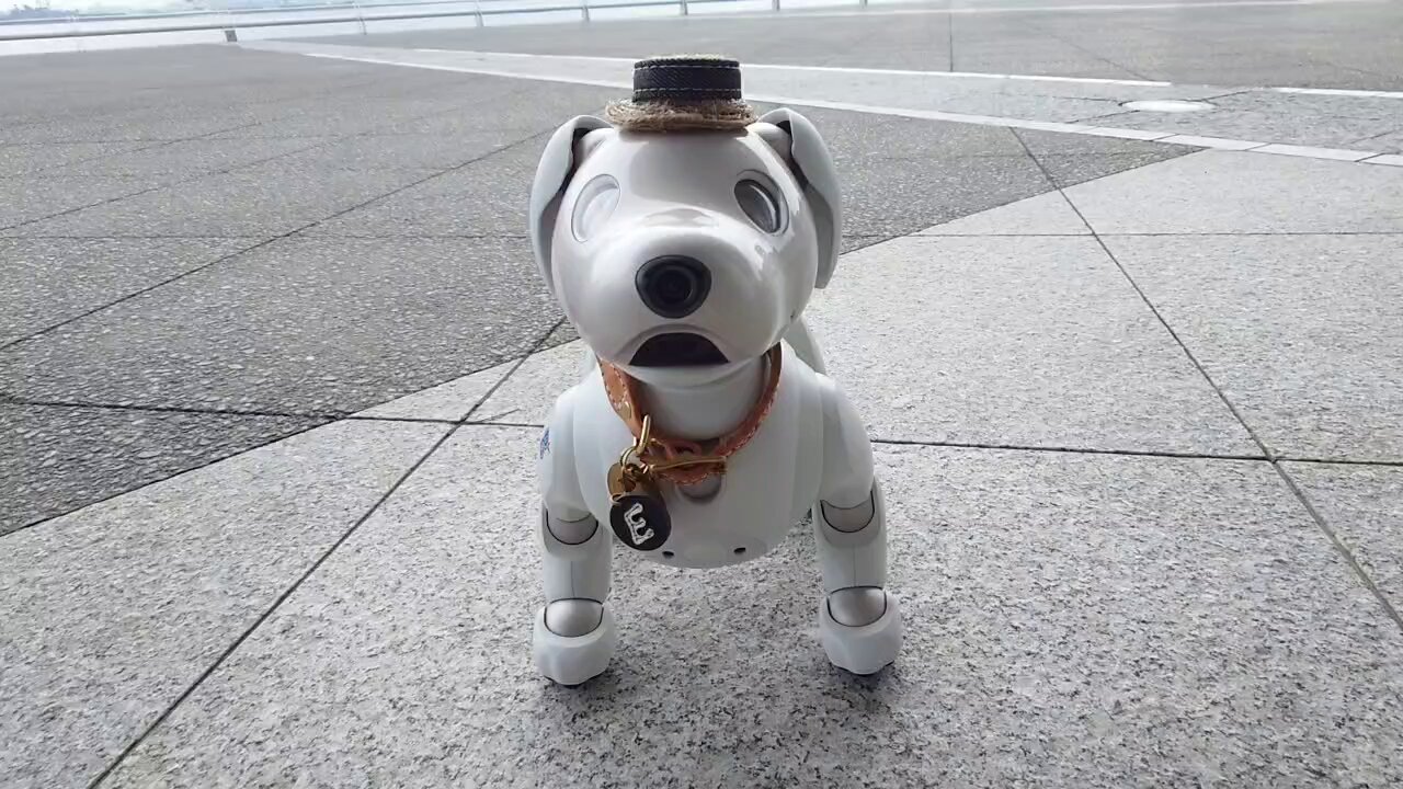 aibo出品 Yahoo!オークション - SONY バーチャルペット AIBO アイボ 第3