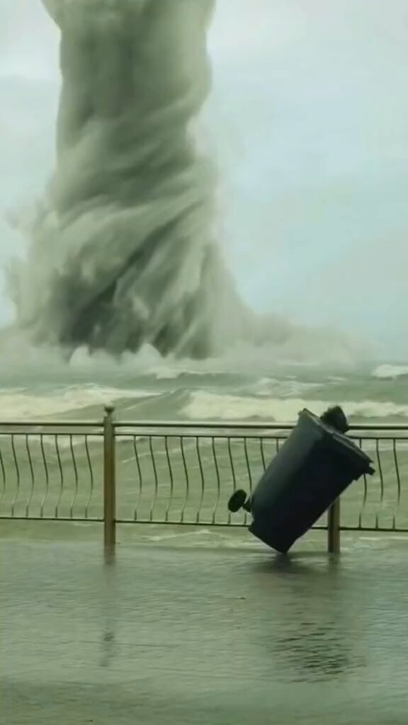 1943939455209156930