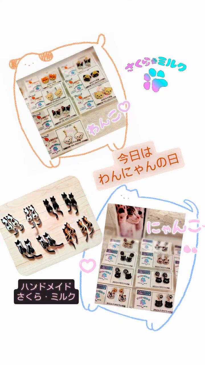 限定 whatwewan tentoten pastime 北海道物産展 セット タジマ セフ引出しボックス2段セット TB-HBOX2