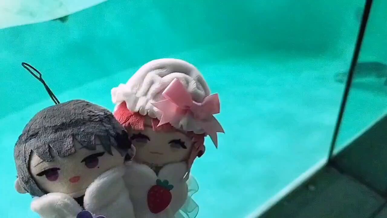 しーちゃんみてみてっ - Αναζήτηση / X