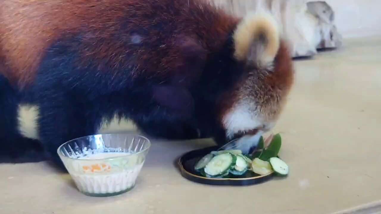 ひなたページ 26211_01.jpg