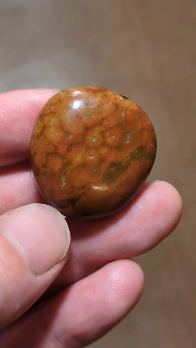 小石湖商店 虫や植物片など多数のインクルージョンが内包されたドミニカ産の