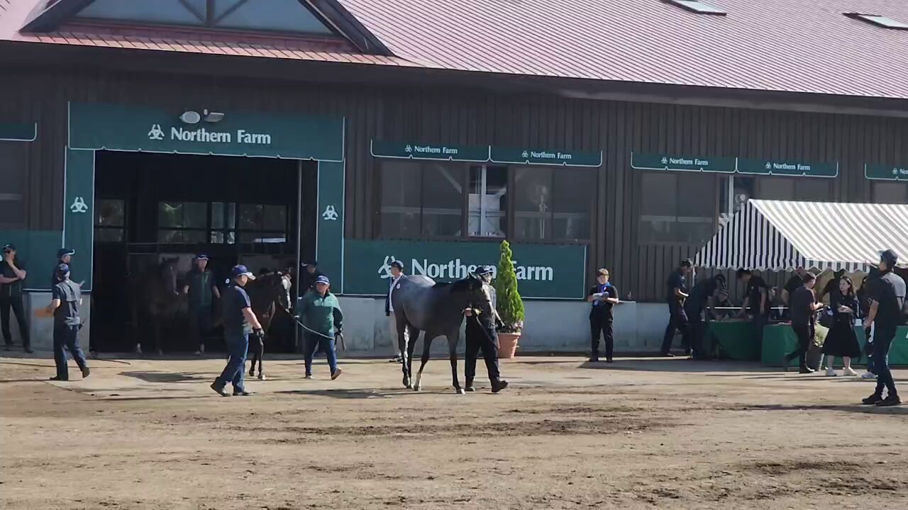 Culmination Makoto REI 2011～2025 応募券付 インタビュー】初戦突破の元世界1位・朱雨玲「アメリカでの大会