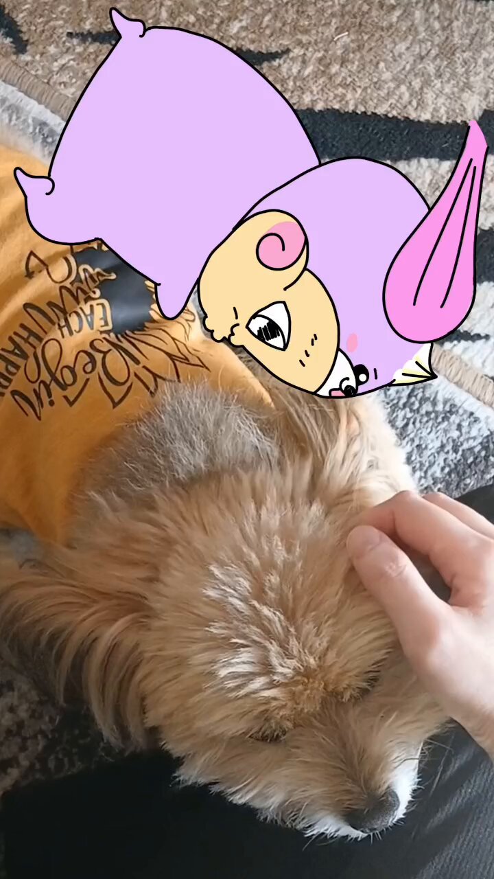 ★わんこ★ 1/25 ダットサン280ZXターボ Tバールーフ【AMT1372:0849398060933】