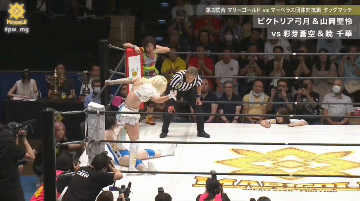 あの日の女子プロレス Women's professional wrestling LOVE