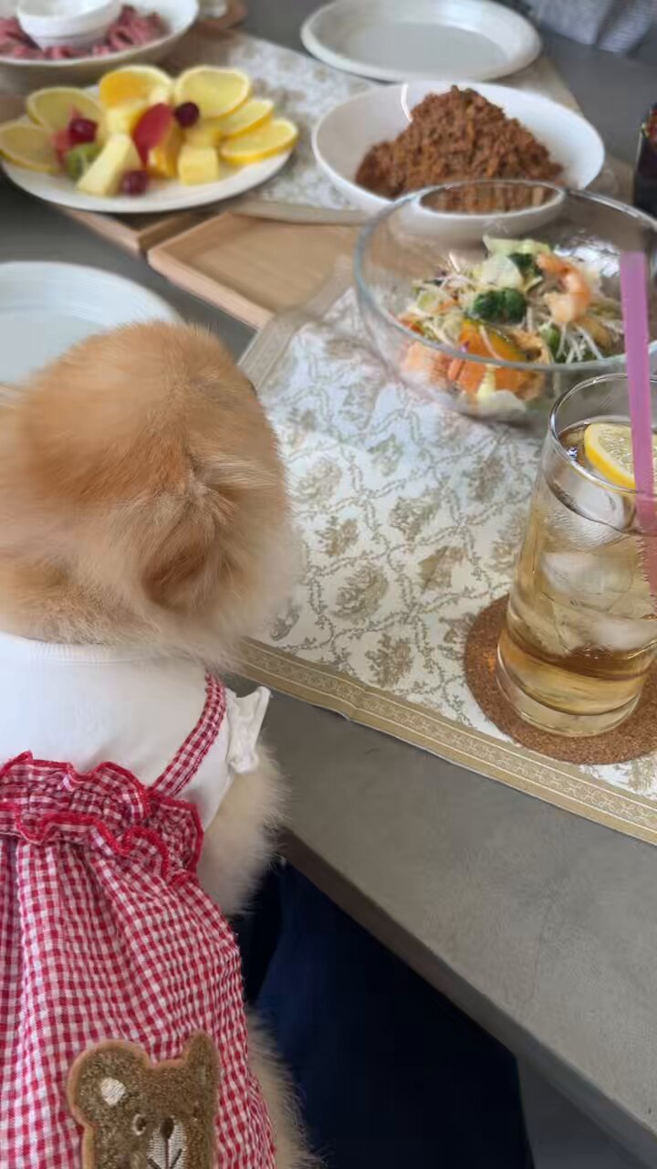 ぽんちゃんページ ◡̈*ポンちゃん様確認用 ぽんちゃん (@pon_chan01) / X