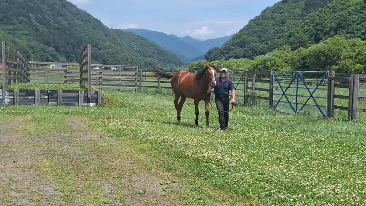 牧場経営 ページです 124171-56-