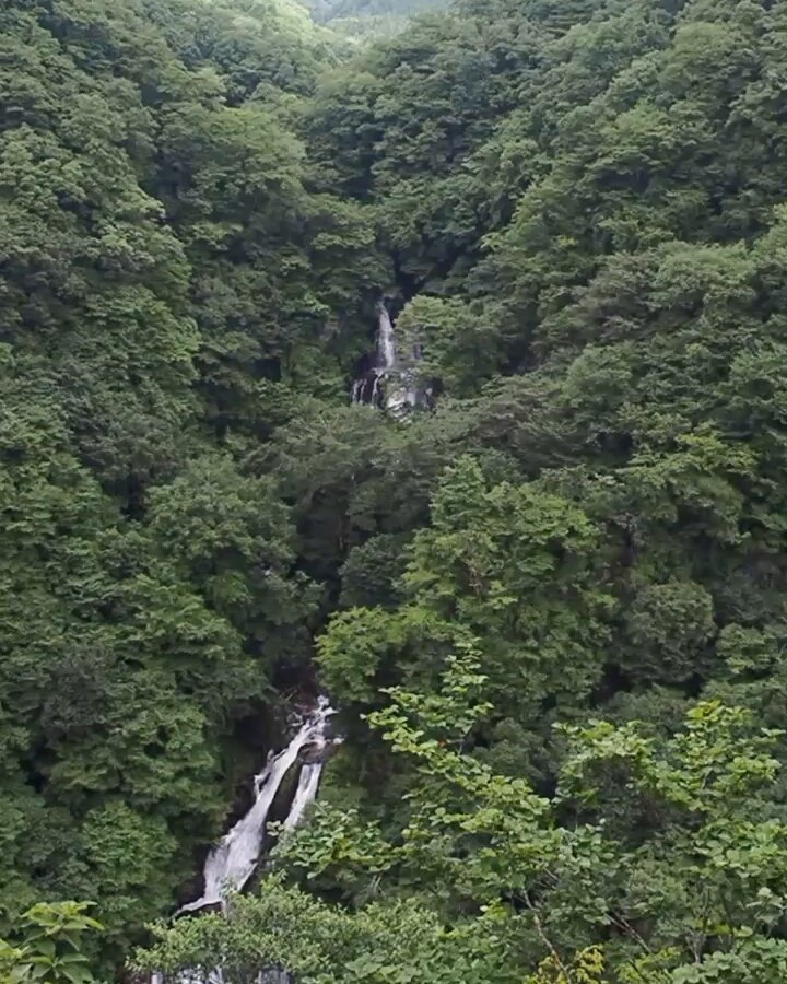 川のある風景 Hi_rock_1 | 春の馬渡川の朝☀️ . . #馬渡川 #鶴岡市 #山形県