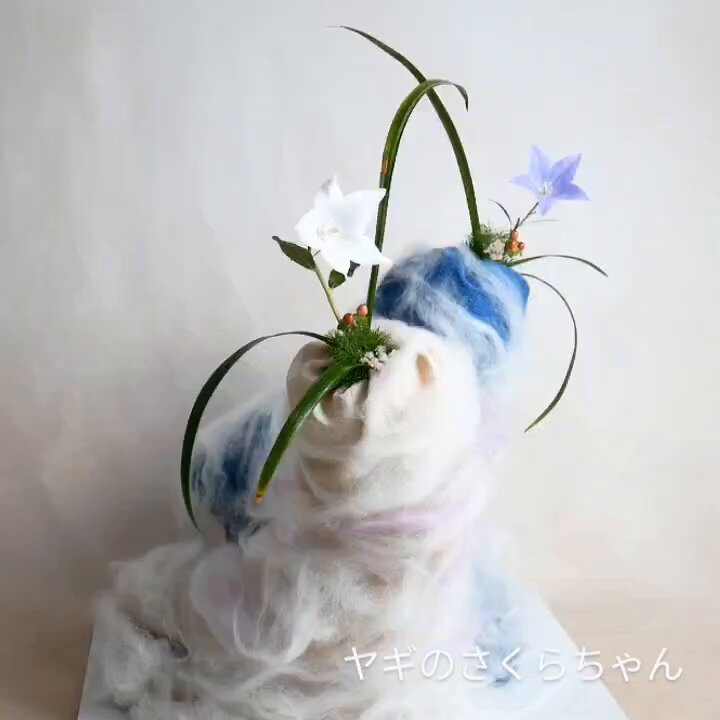 ヤギちゃん HAPPYヤギちゃん】トカラヤギのミルキーちゃん、新しい