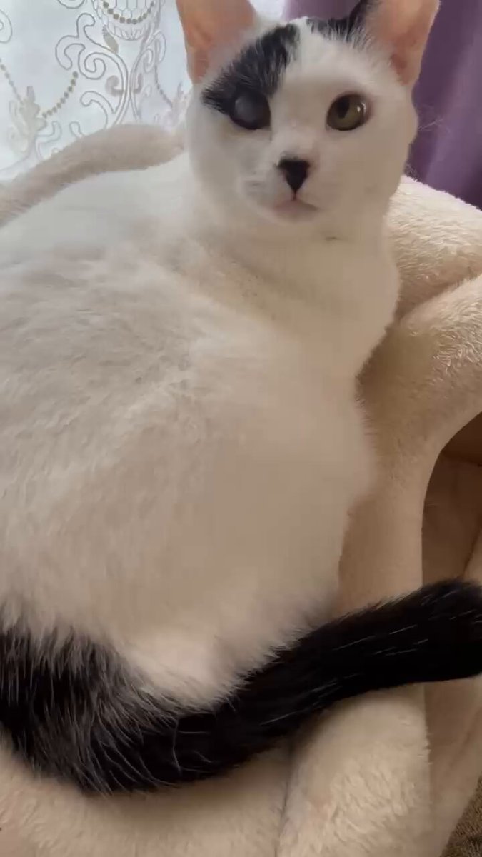 ポム様❣️専用ページ ポム様❣️専用ページ