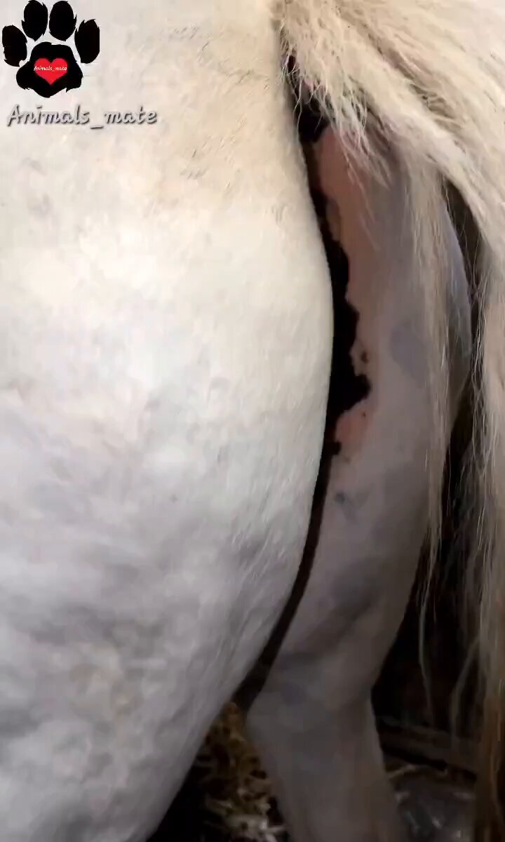 Porn Picture