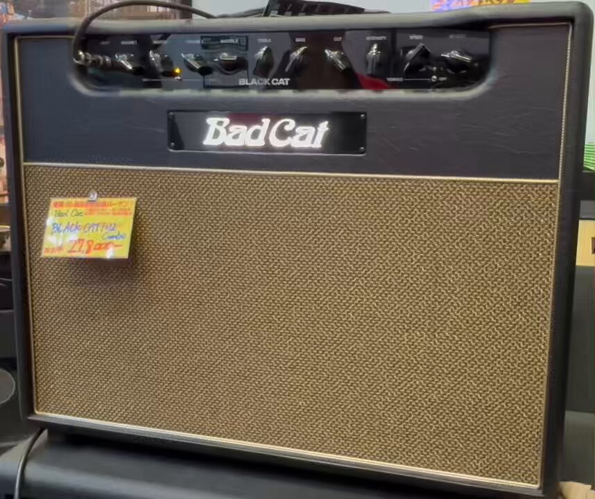 【カクレクマノミ★】ベース イケベ楽器店プレミアムギターズ on X: 