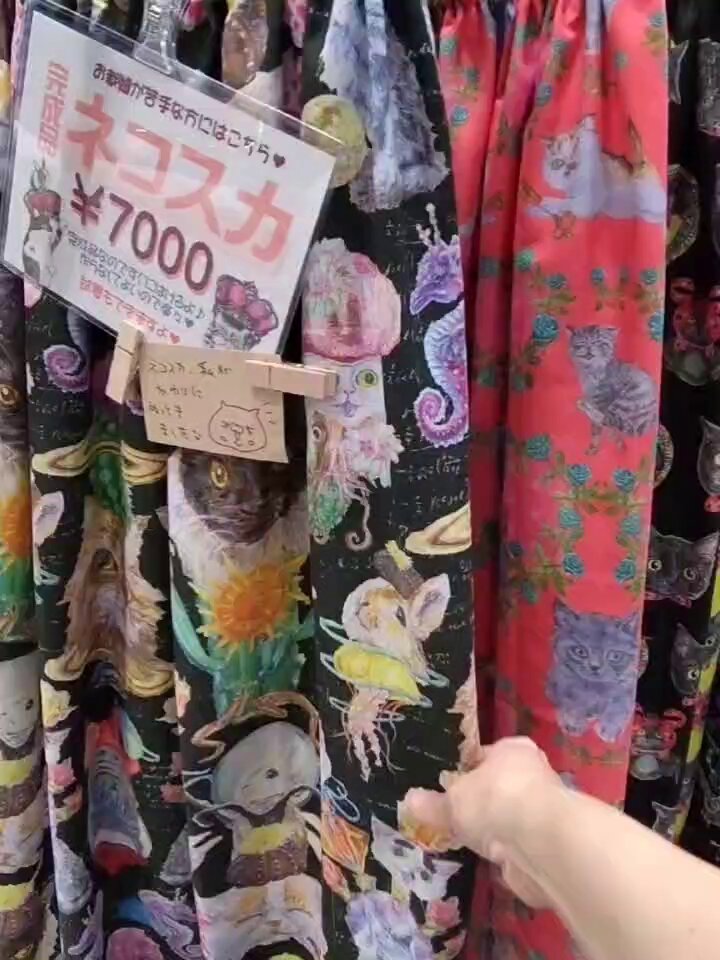 虹猫本舗 カオリ【7/12.13 にゃんだらけ名古屋】 on X: 