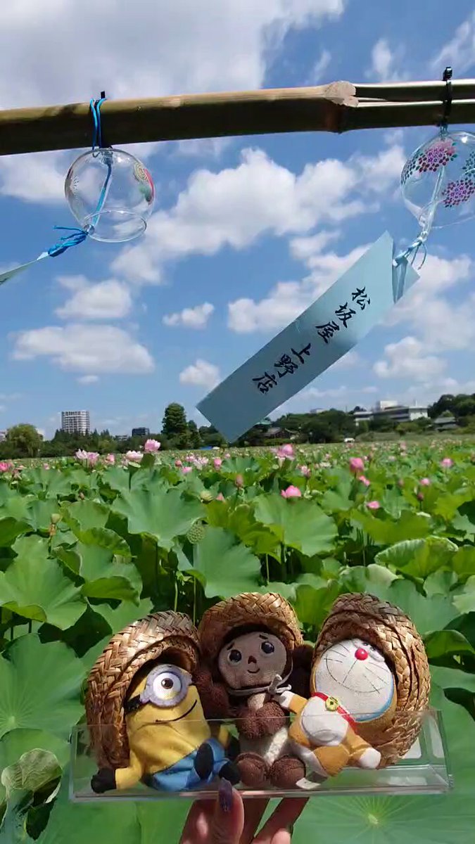 ぱぴこページ パピコ (@cQJWVewgLVa6O3q) / X
