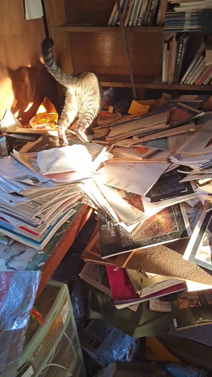 ネパールから来たおとぼけネコ　ミヤネ ネコのお昼寝～take a nap of cat～ シルバーネックレス 未来