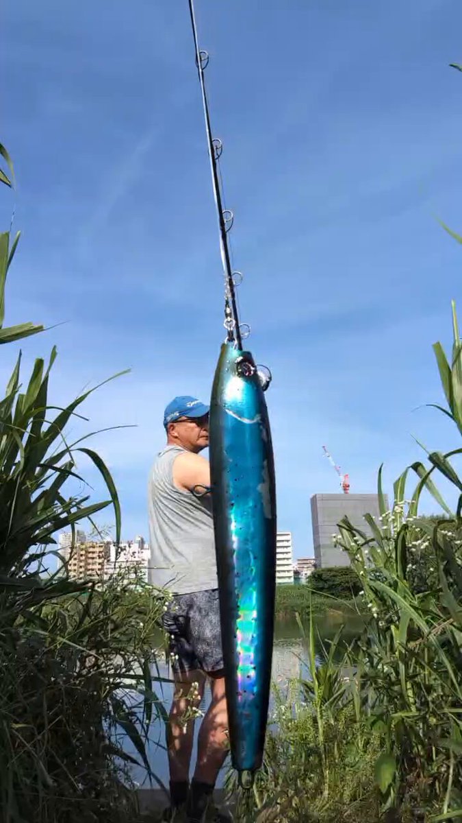 リンクス🎣 on X: 