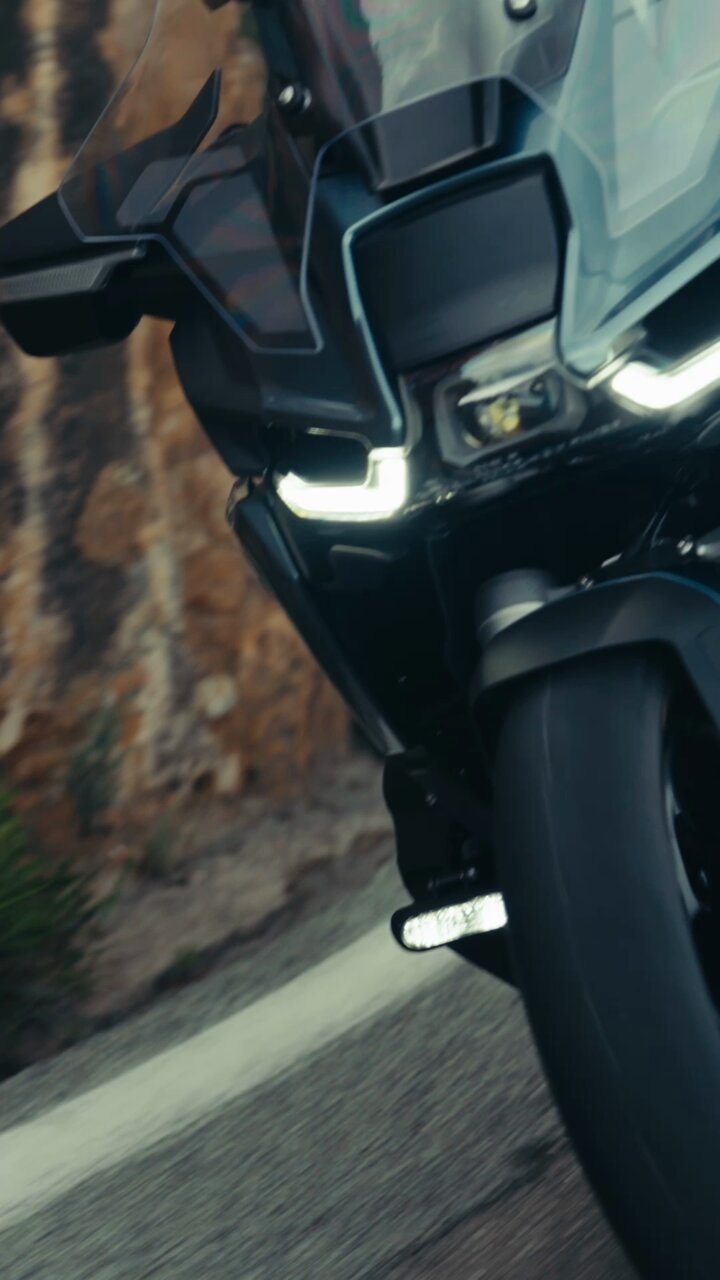 【限定品】日本未発売　BMW MOTORS sport チーム　ノベルティ 熊 限定品】日本未発売 BMW MOTORS sport チーム ノベルティ 熊