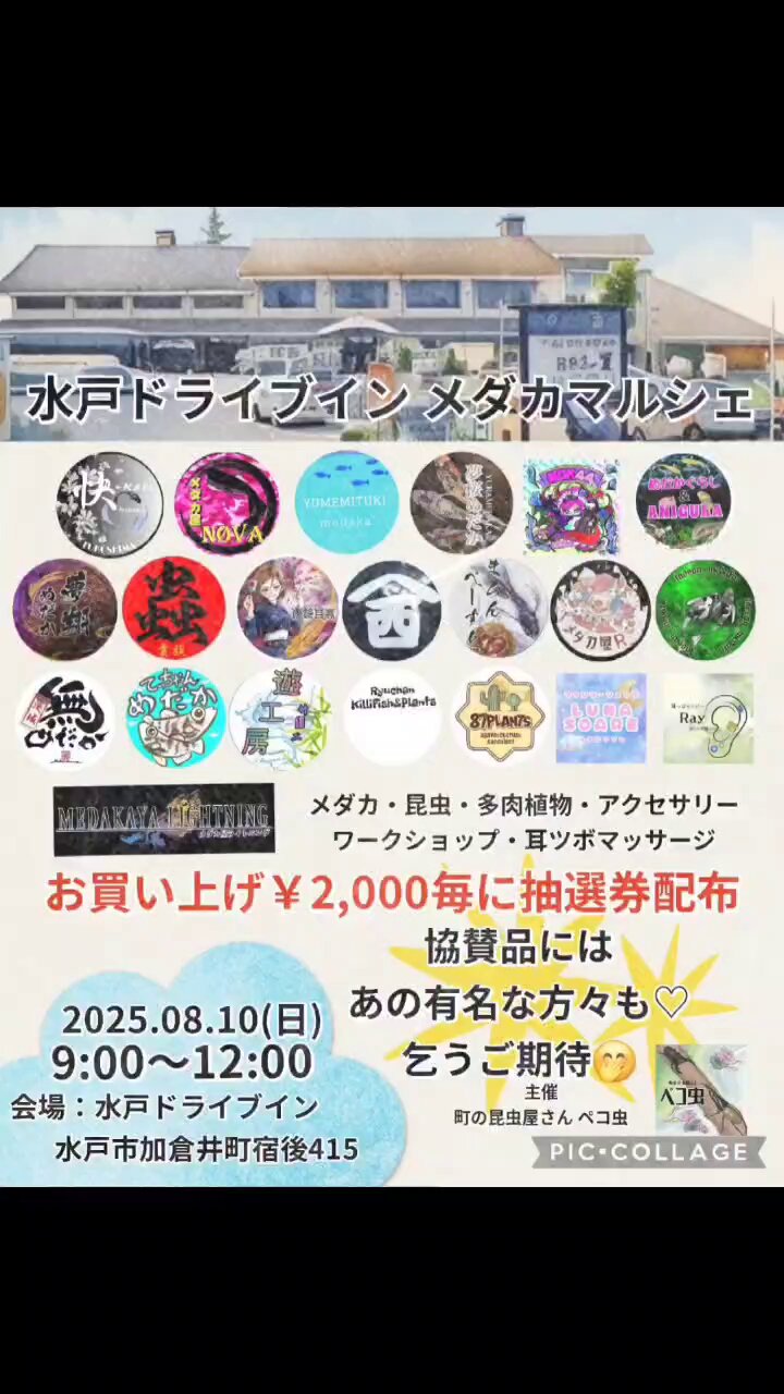 GOUぴいさん購入前にコメント希望 WGFCはいご on X: 