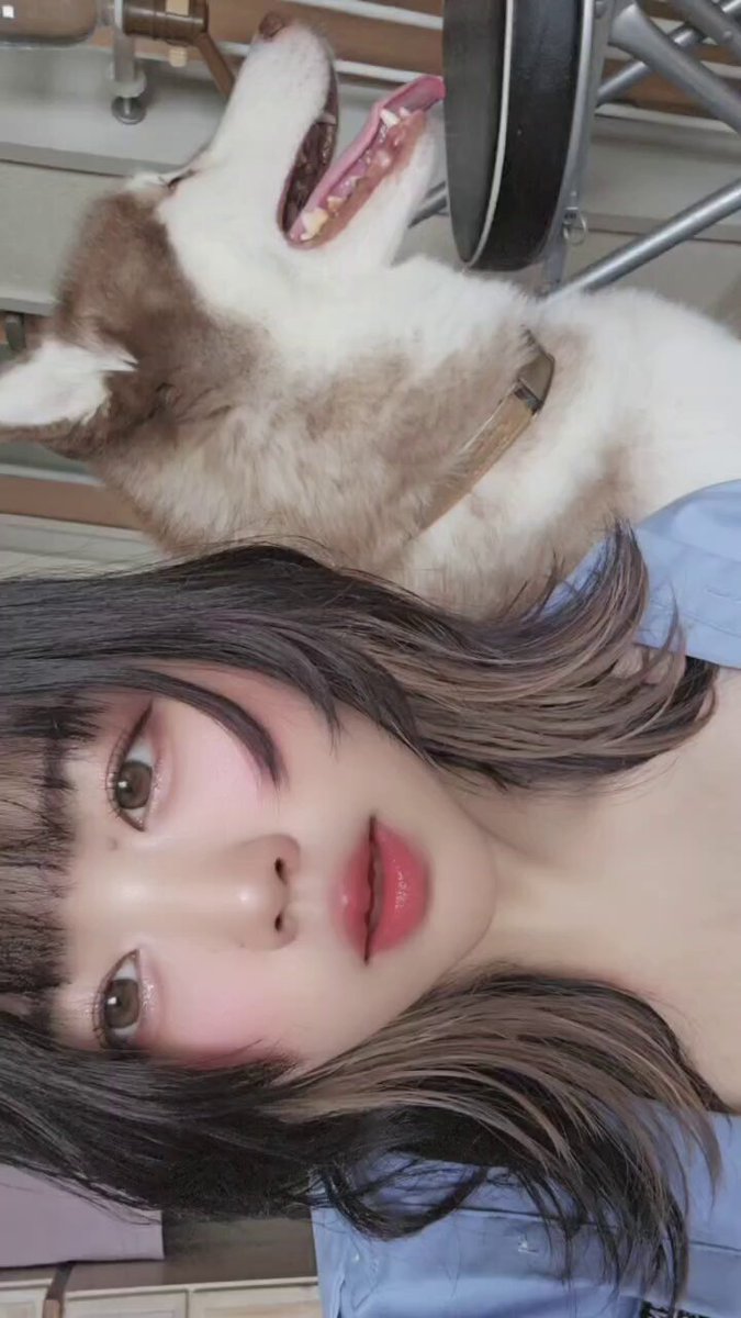 ちくわわわ (@ChiqurFullswing) / X