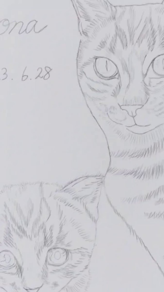 はちねこアート - Search / X