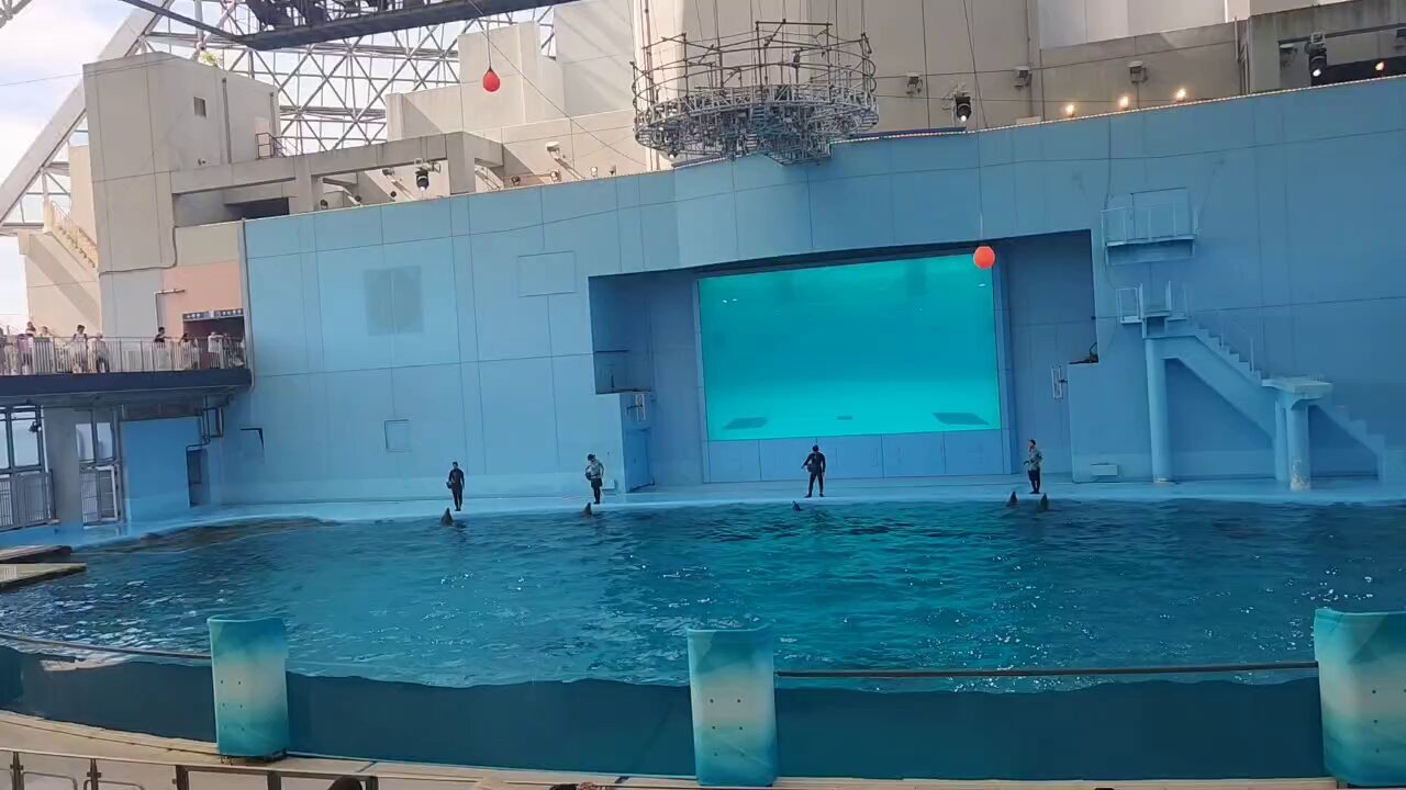 サママ・フェスティバル - Search / X