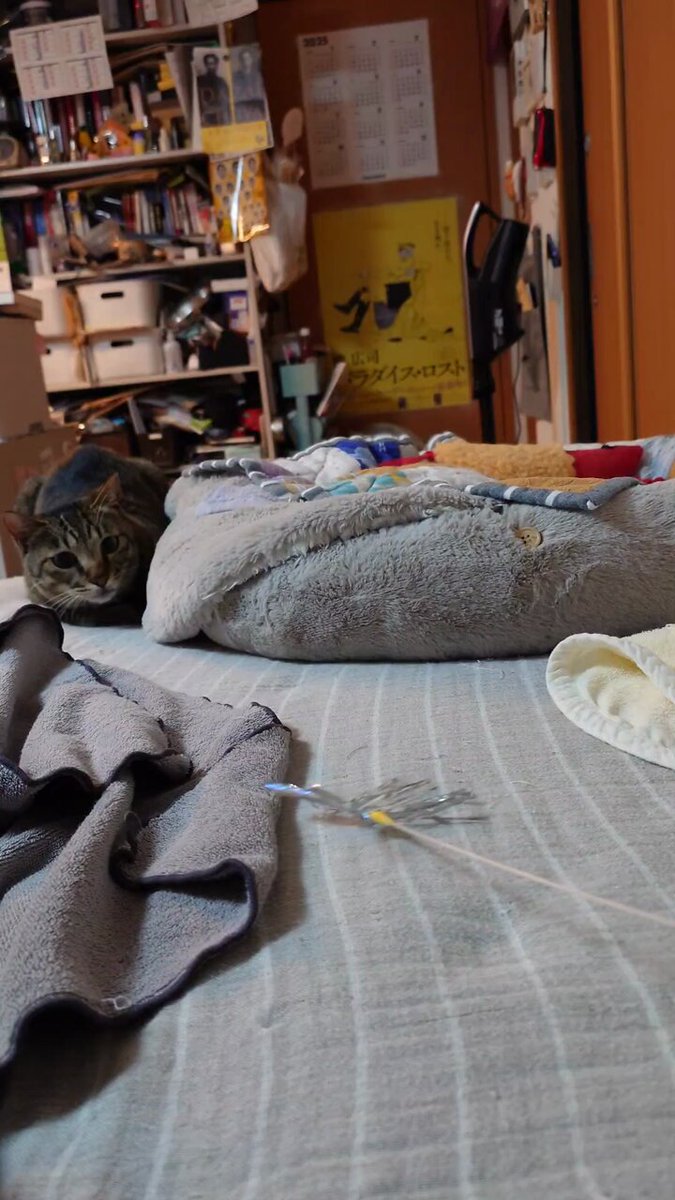 ꕤ︎︎ちびすけ‪‪‪٩(๑❛ᴗ❛๑)۶さん専用ꕤ︎︎ ちびすけ٩(๑❛ᴗ❛๑)۶様 ご確認用☺︎✨