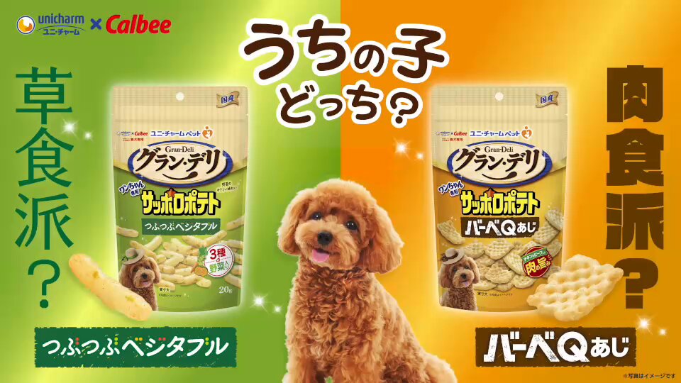 おまとめページ③29点(10/11までお取り置き可能です♡) Amazon.co.jp: PETSELECT （ペットセレクト） ペットゲート おく