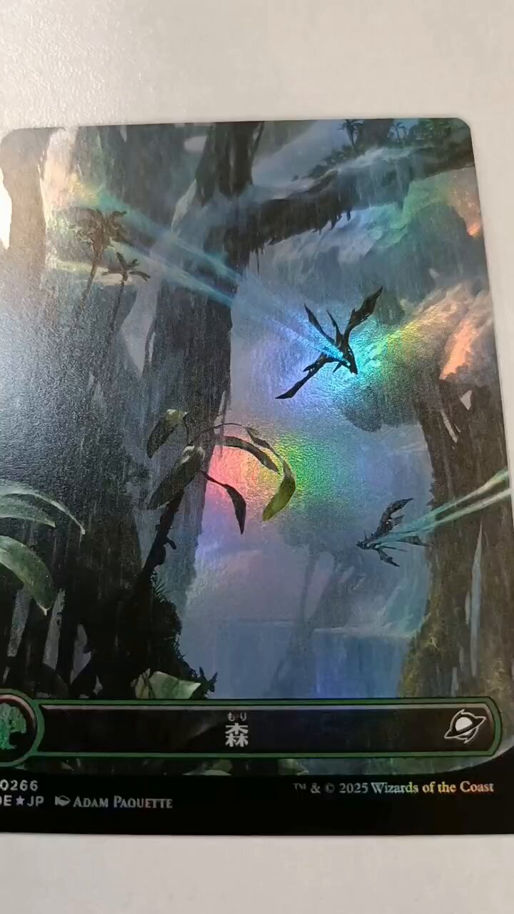 歴戦の紅蓮術師 ボーダーレスfoil FOIL】【英】歴戦の紅蓮術士