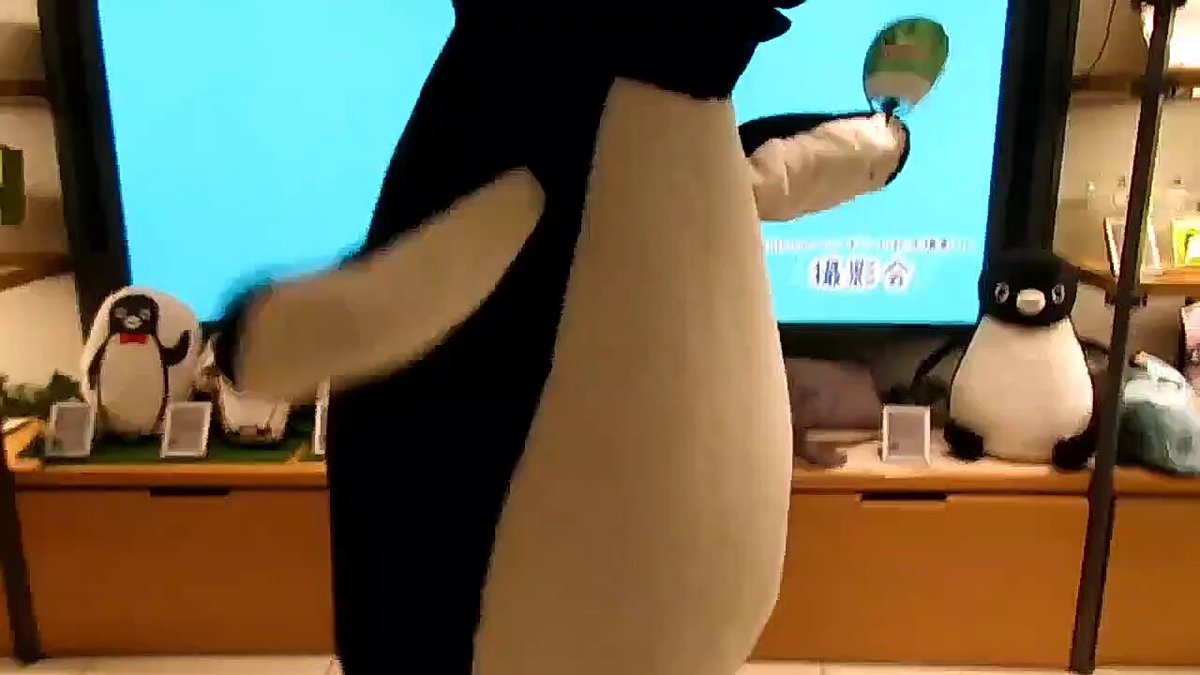 ☆ペンギン☆ (@penguin00000001) / X